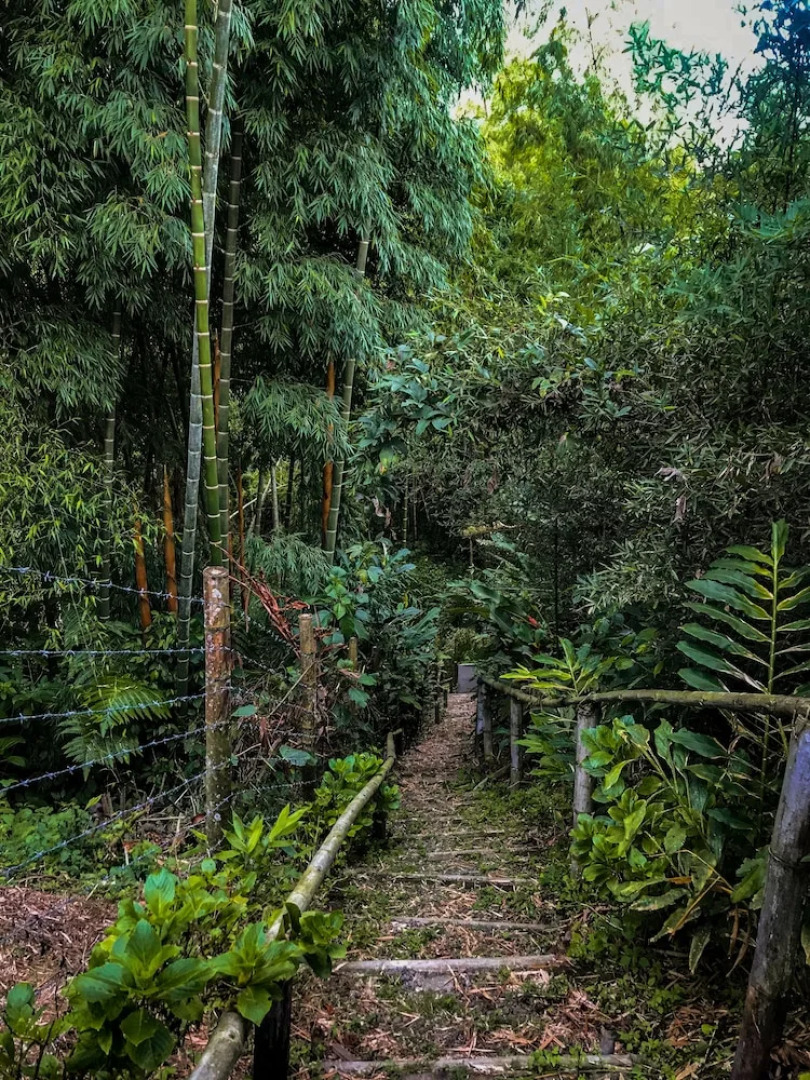 Room-room With 1 Double bed and 2 Single