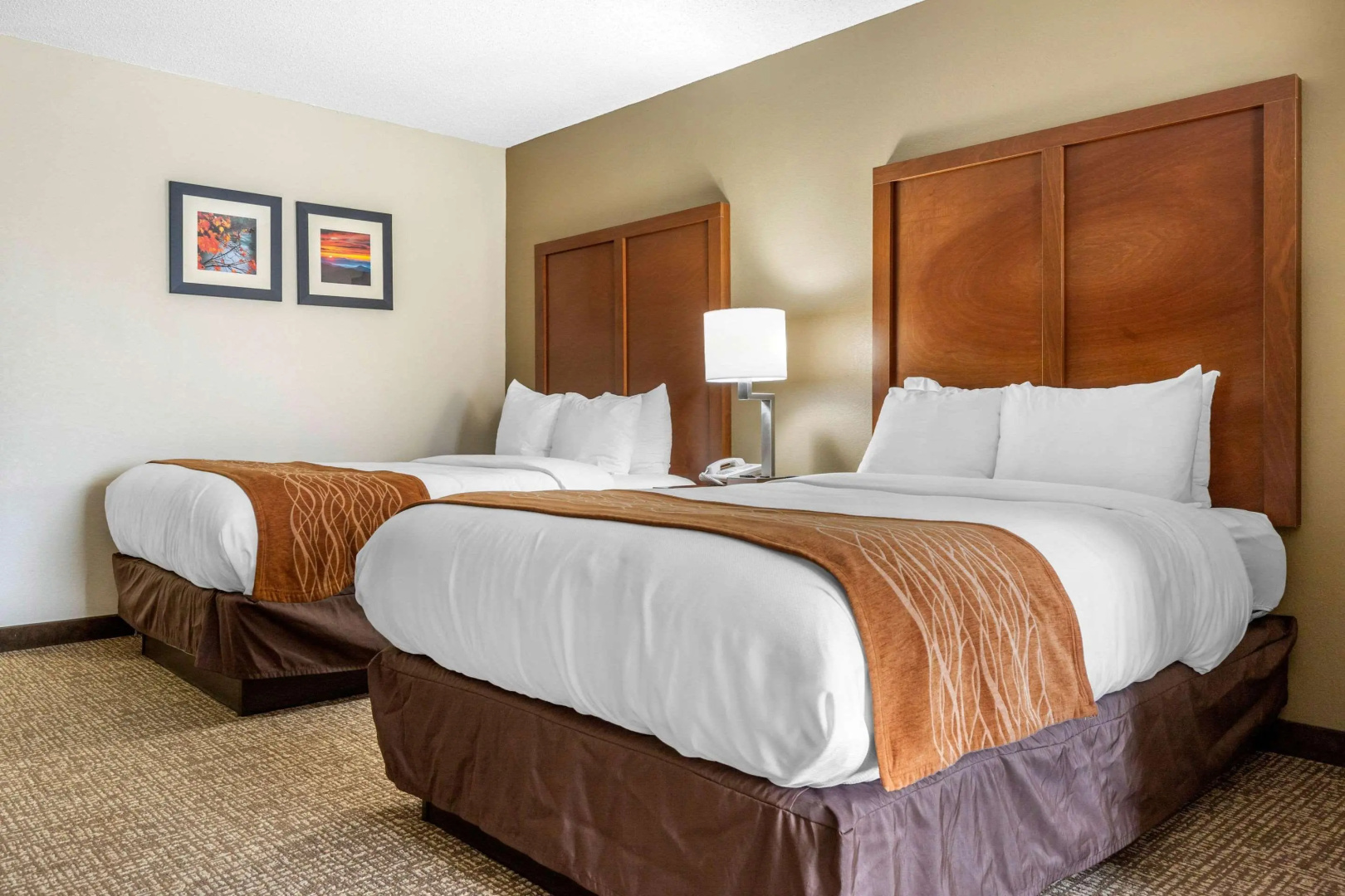 Comfort Inn Asheville Airport