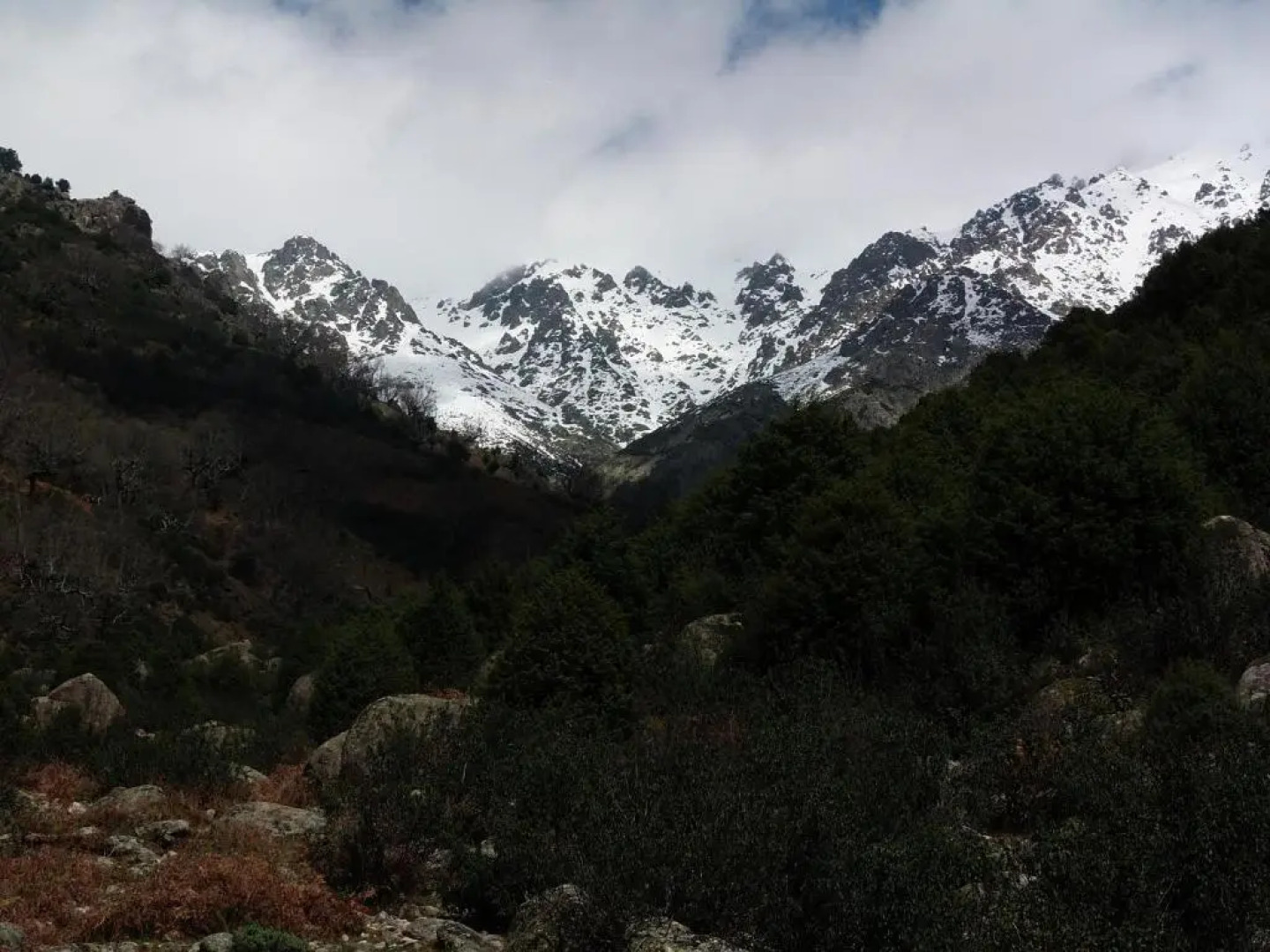 Apartamentos Rurales Ecopangea