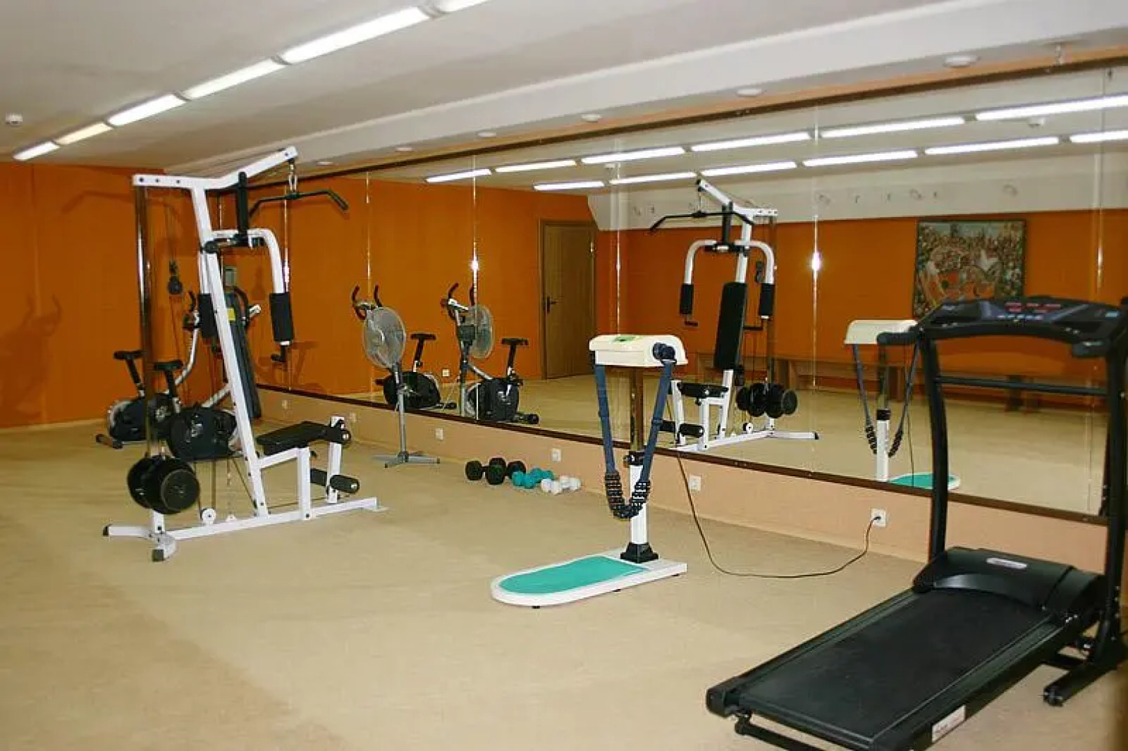 Бегущая по волнам