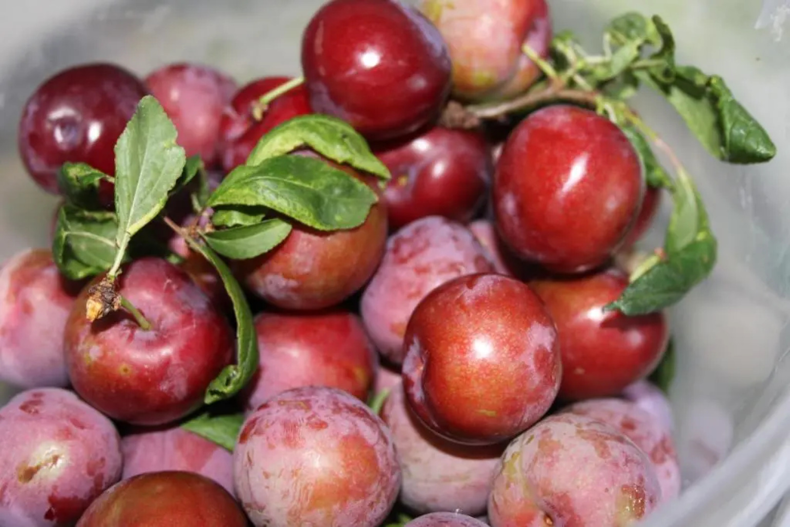 Quinta de São João