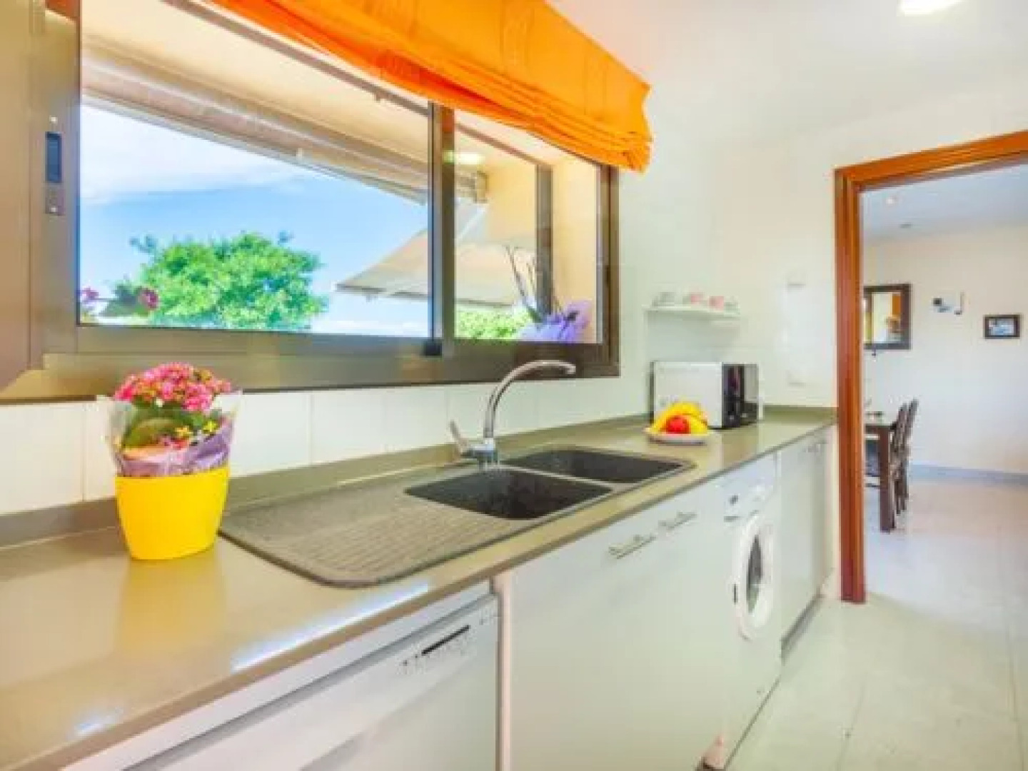 House LA OLIVA Palau Savardera