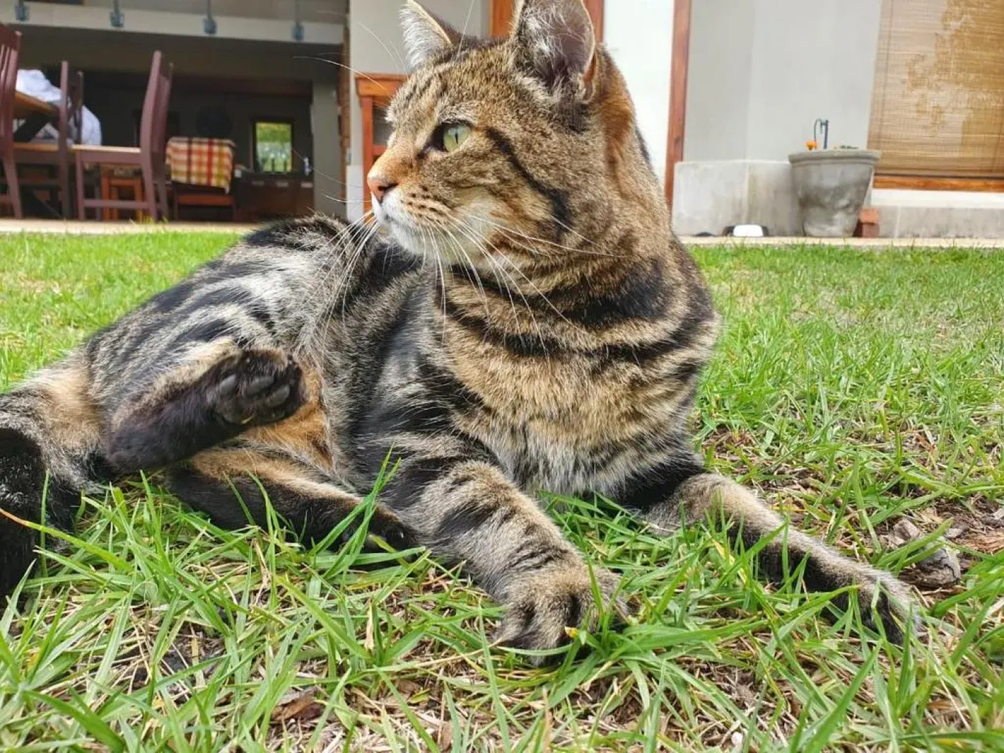 Stanford Heights River House