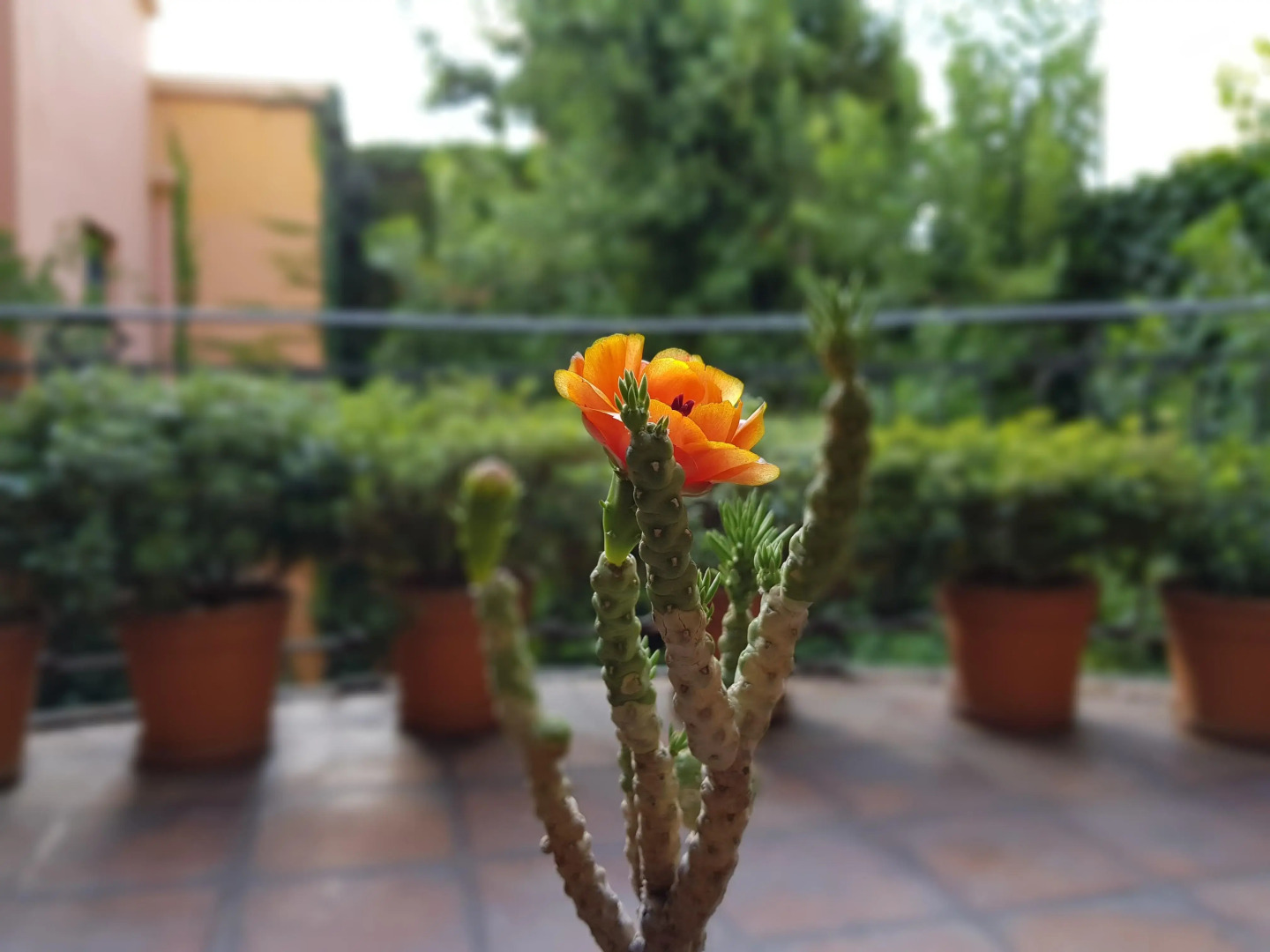 Legado Mitico Salta Boutique Hotel