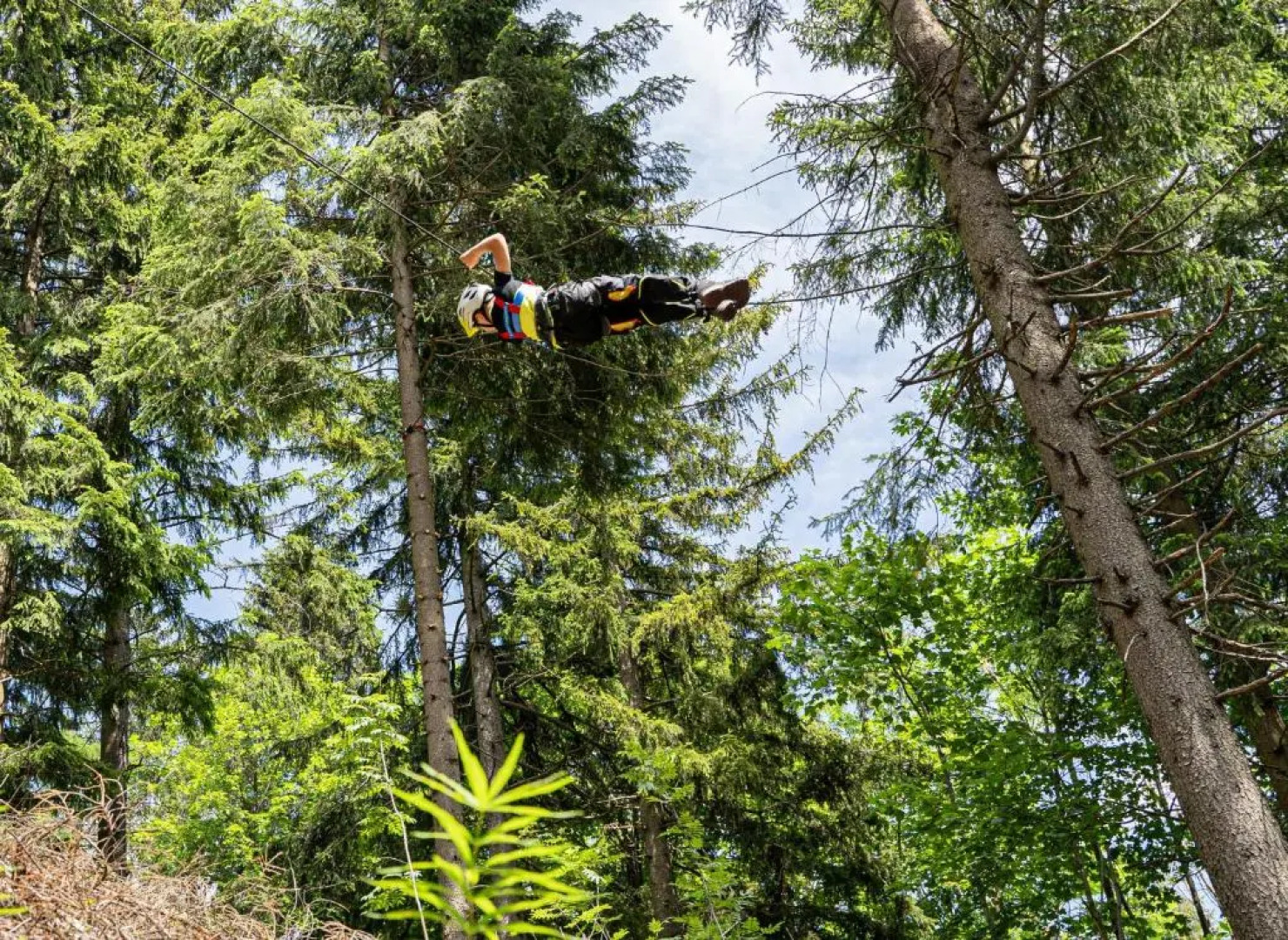 Alpin Rose Appartement