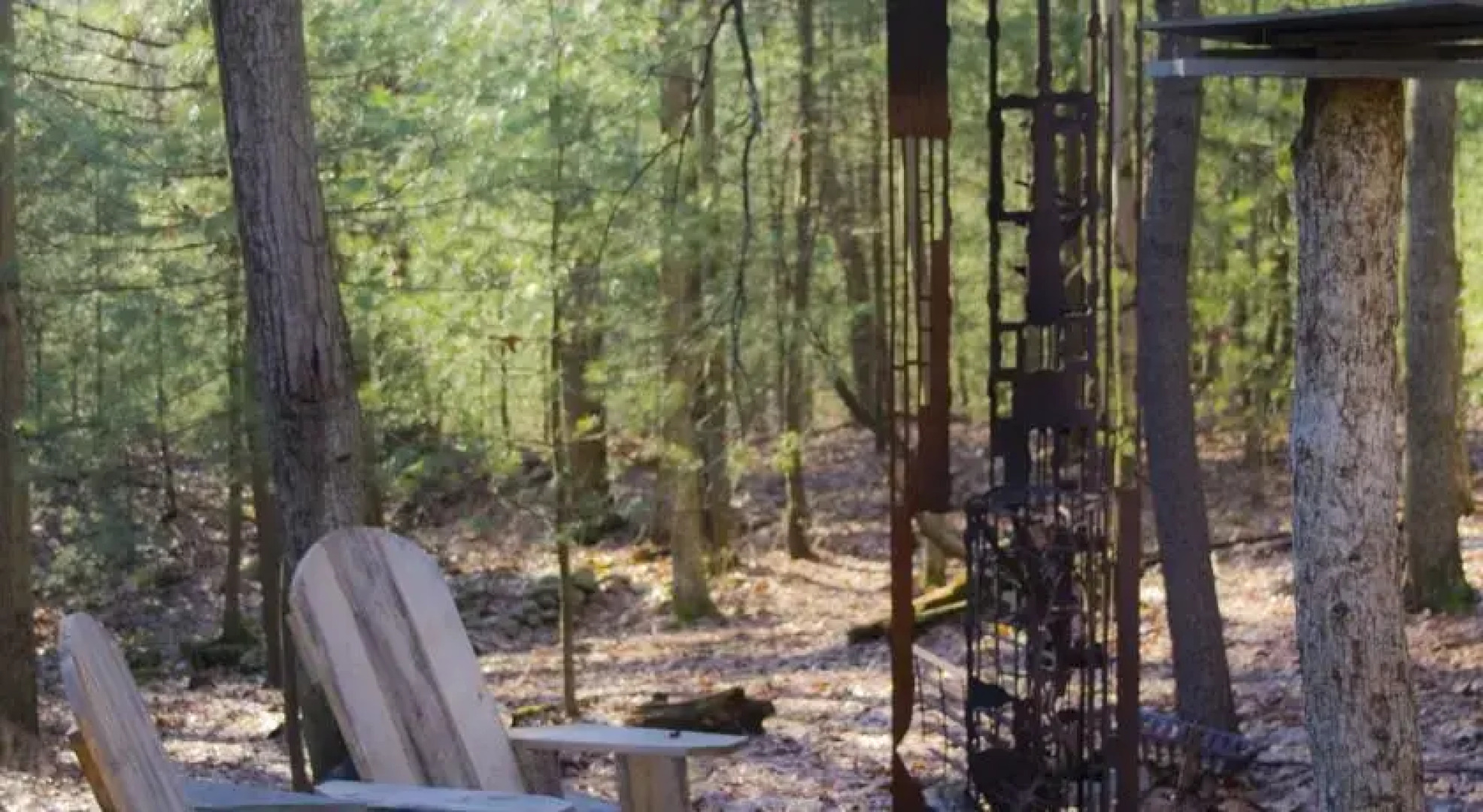 Art Cabin in the Woods