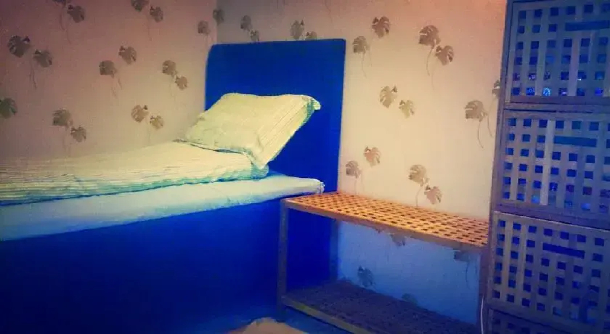 Fjord Panorama with its 222 Peaks