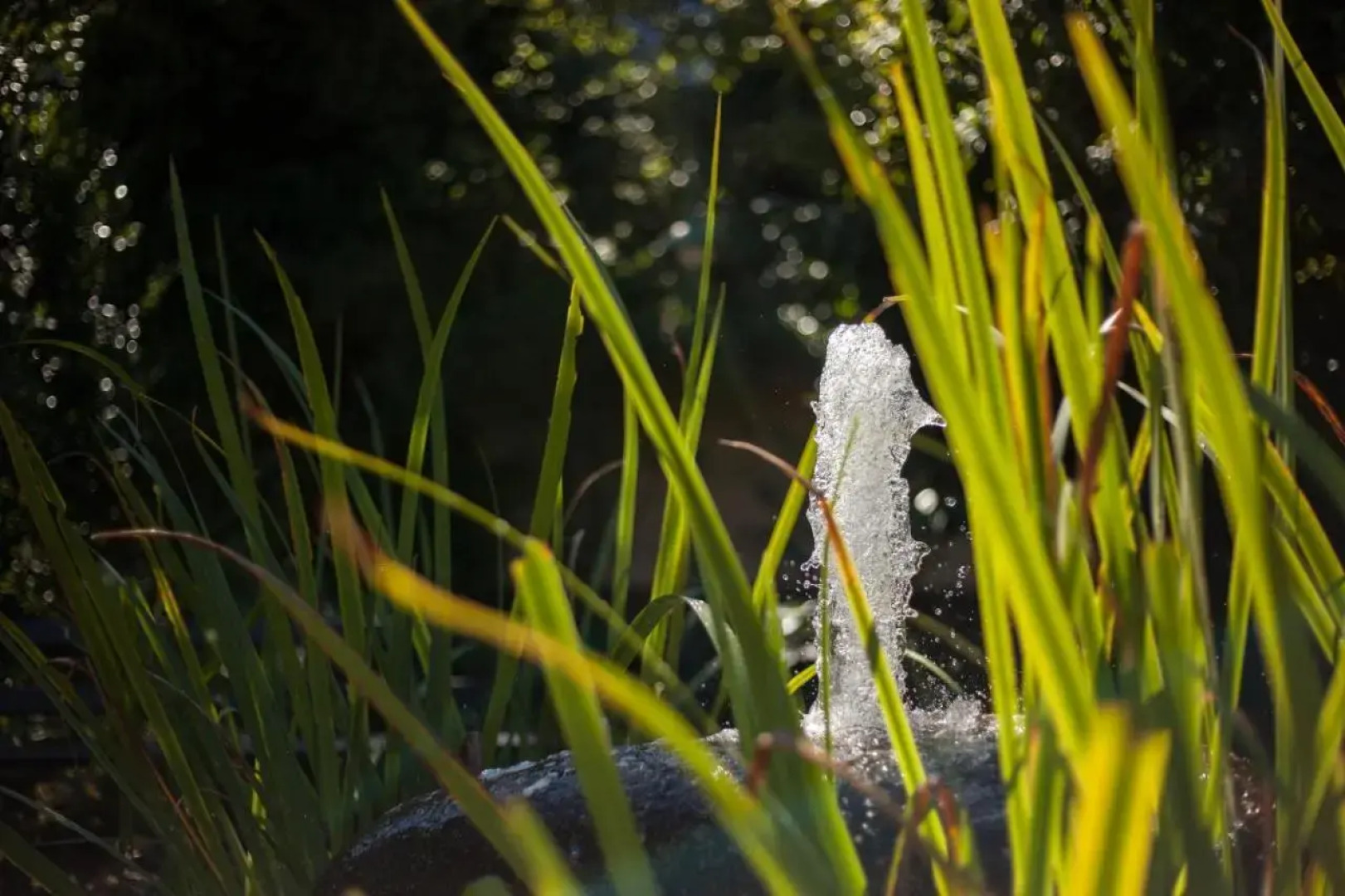 Rustikale 3 Zi.-FeWo Nähe Freiburg 70qm