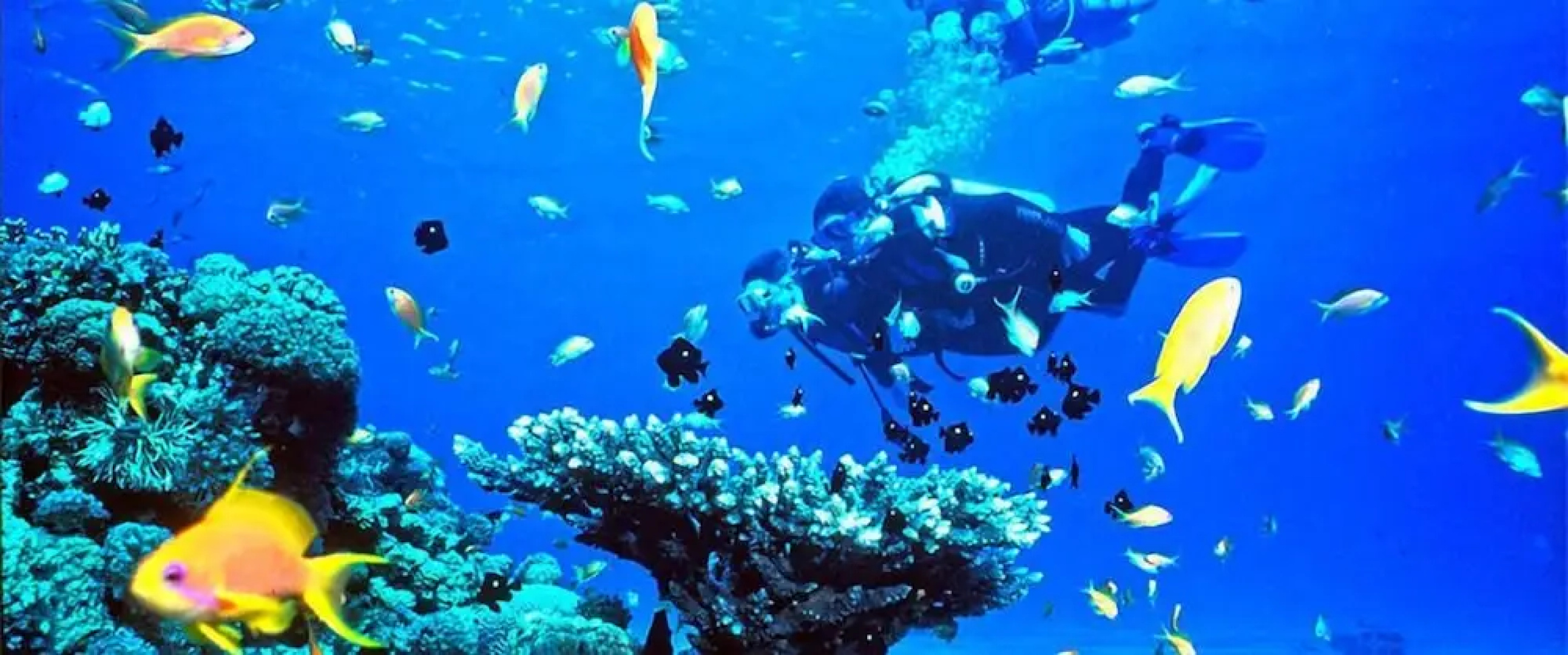 Maha Sand Suites Hostel & Hotel