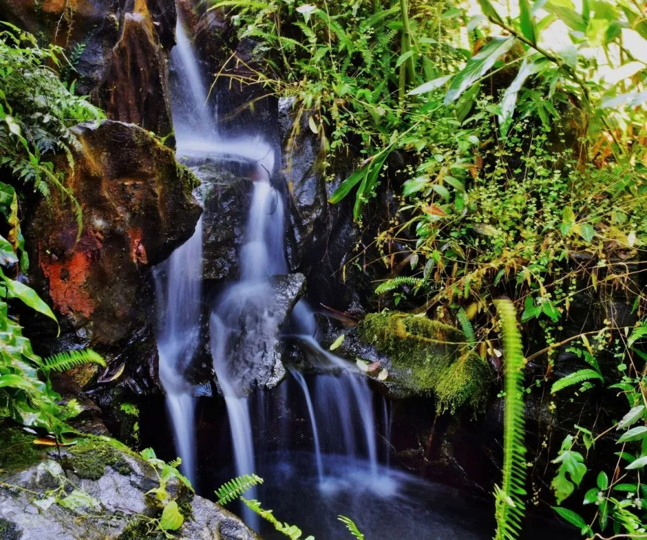 Beauty Art Guest House