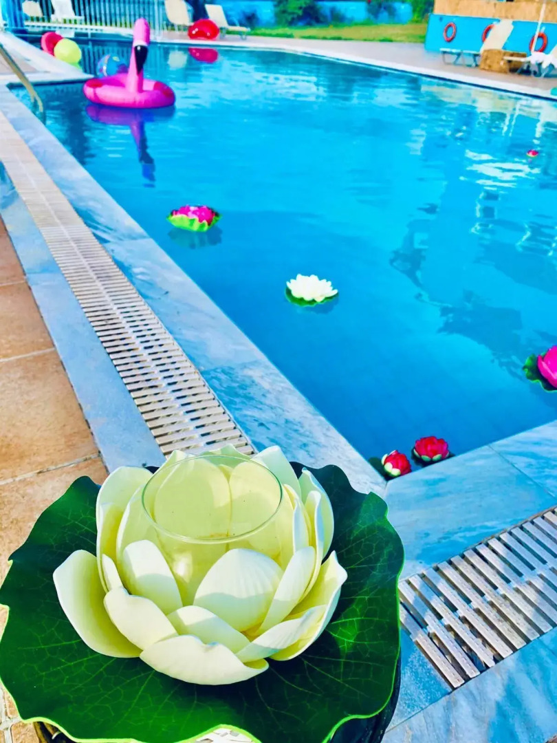 Ninfa Garden - Studios & Apartments