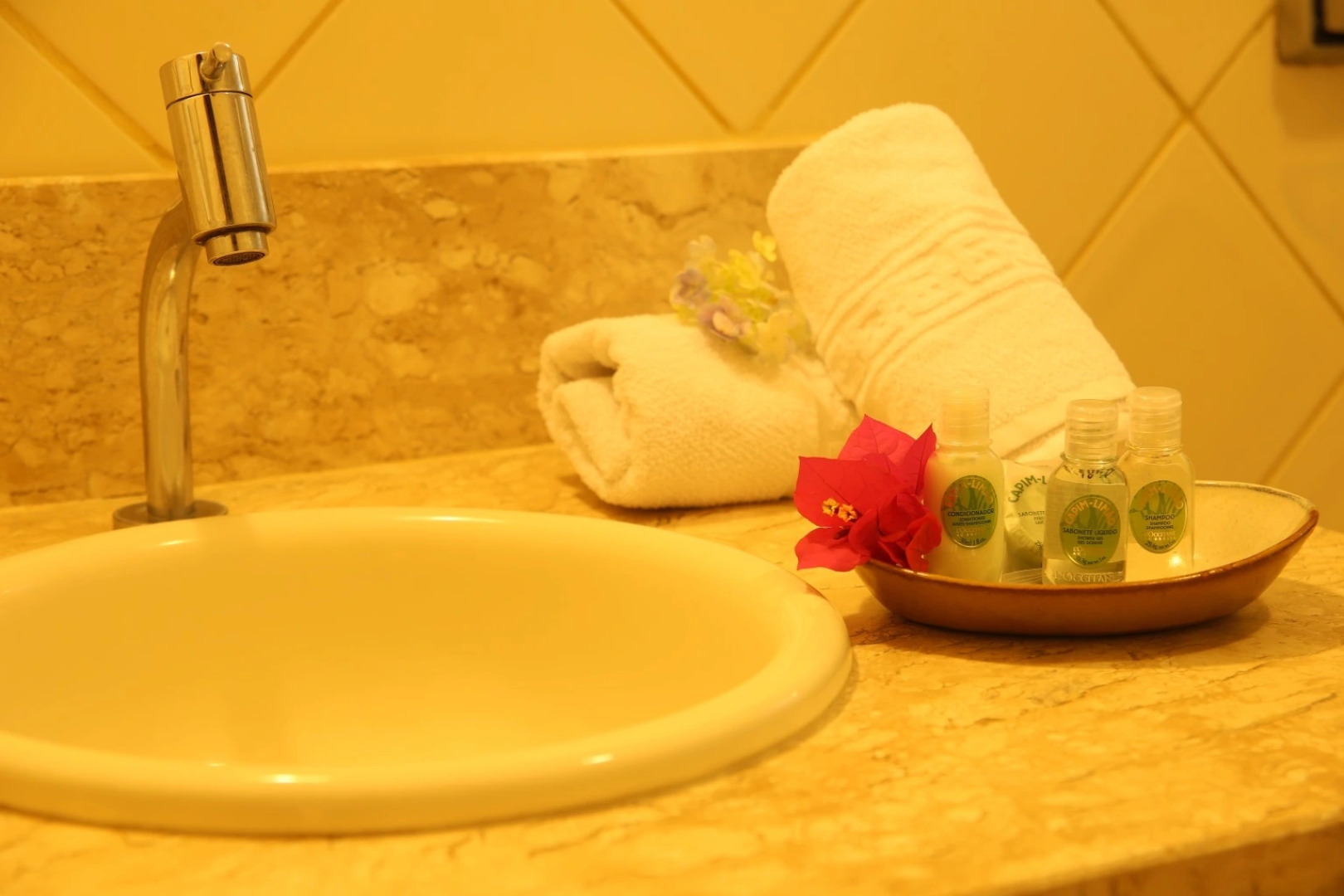 Leão de Judá Charme Hotel