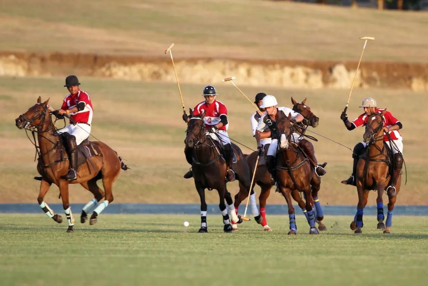 Apes Hill Golf and Polo Club