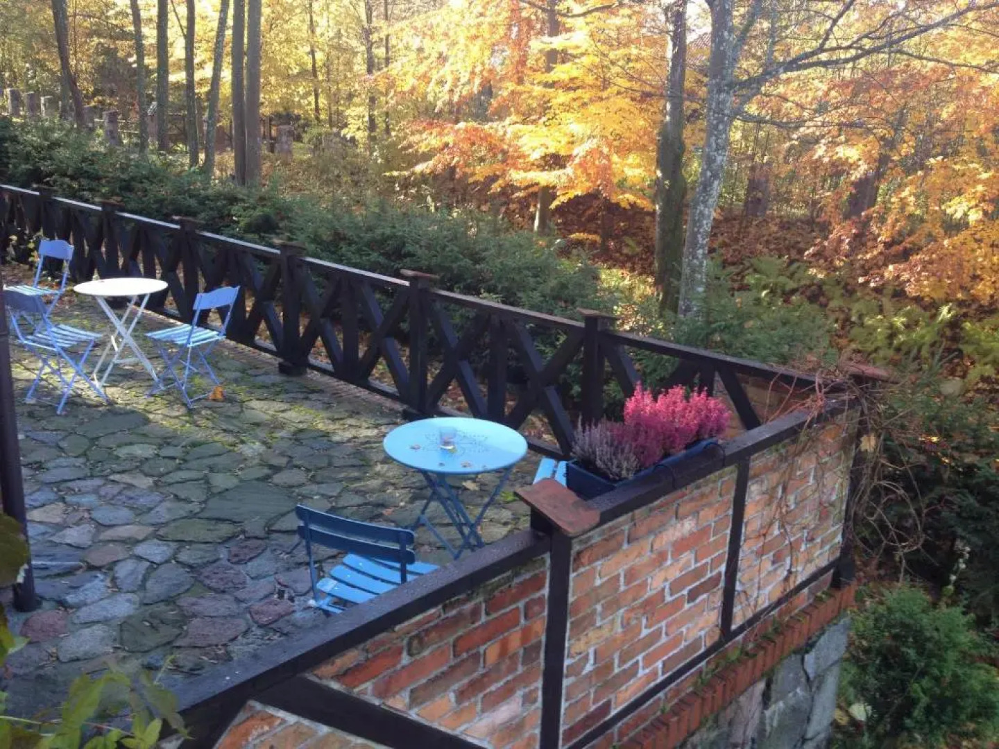 Dom Gościnny Stara Szkoła