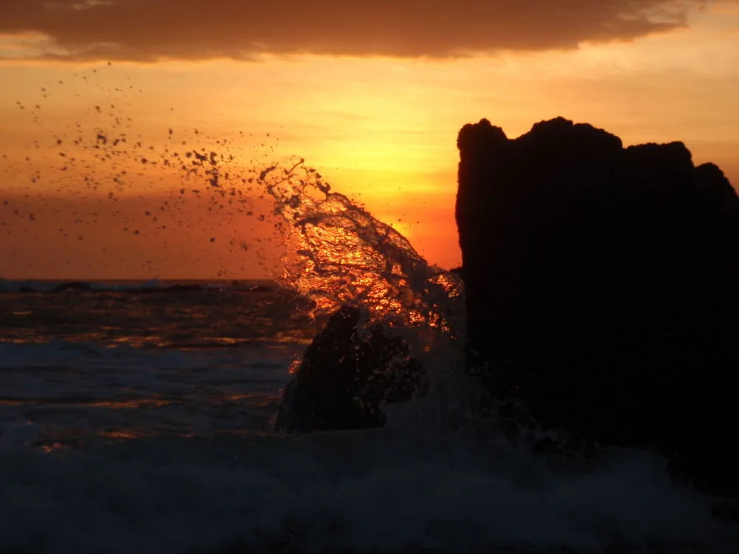 Pachamama Tropical Garden Lodge