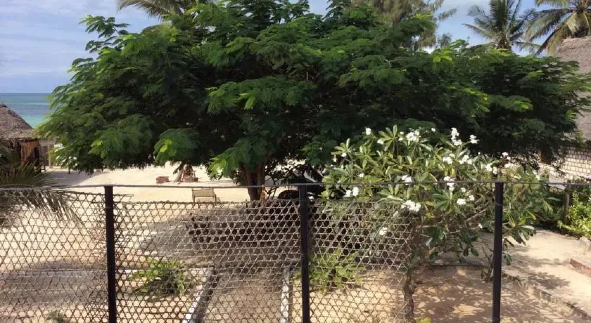 ONE LOVE Beach House Zanzibar