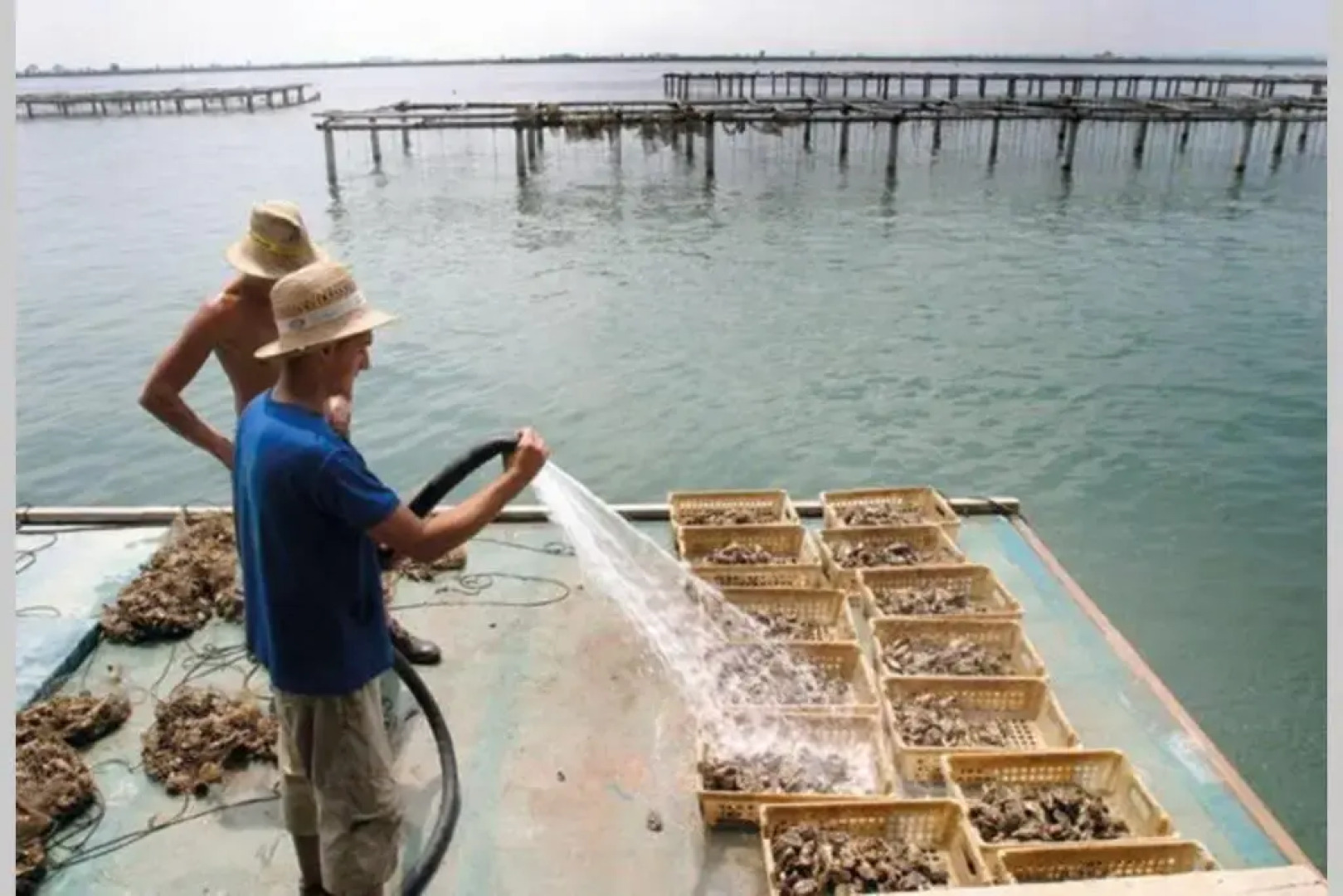 Apartamento PEPA. En el corazón del Delta.