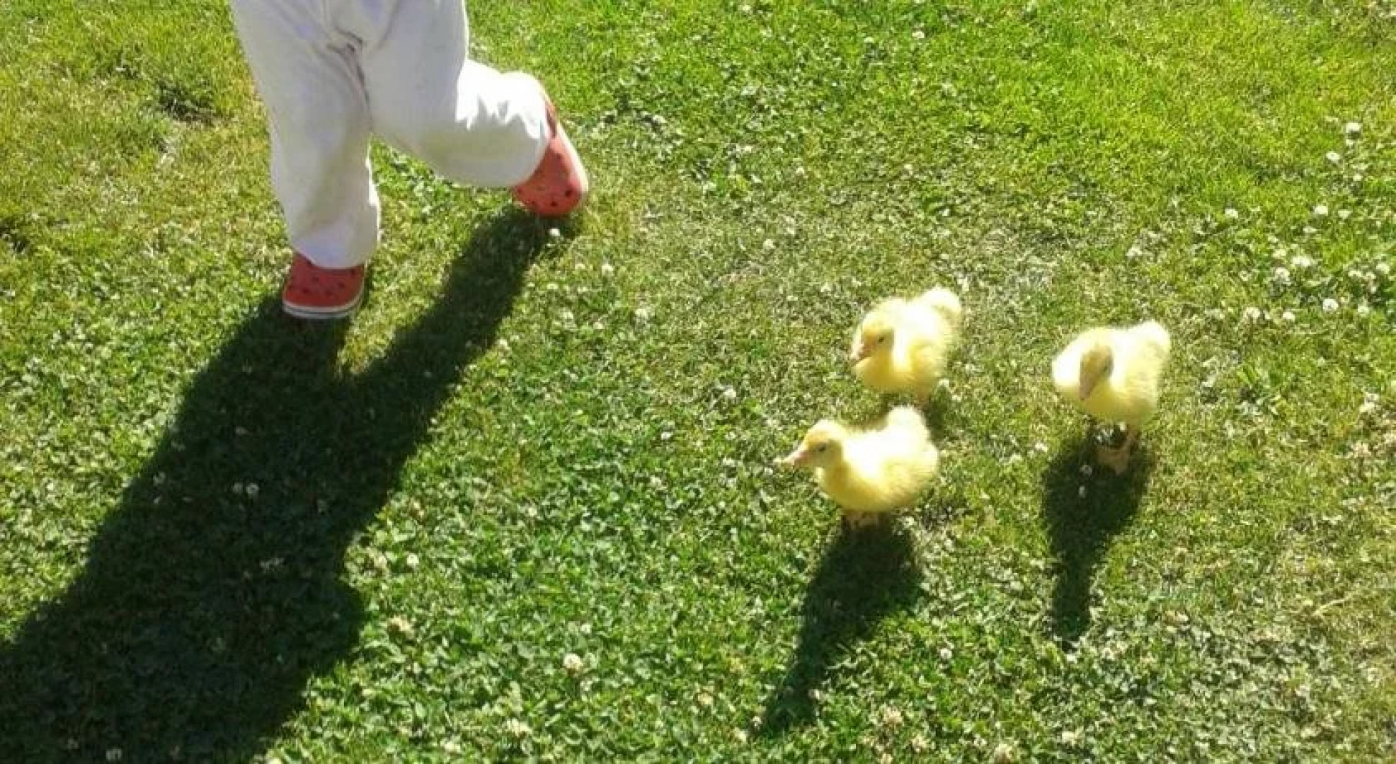 Penzion a hospoda Na statku