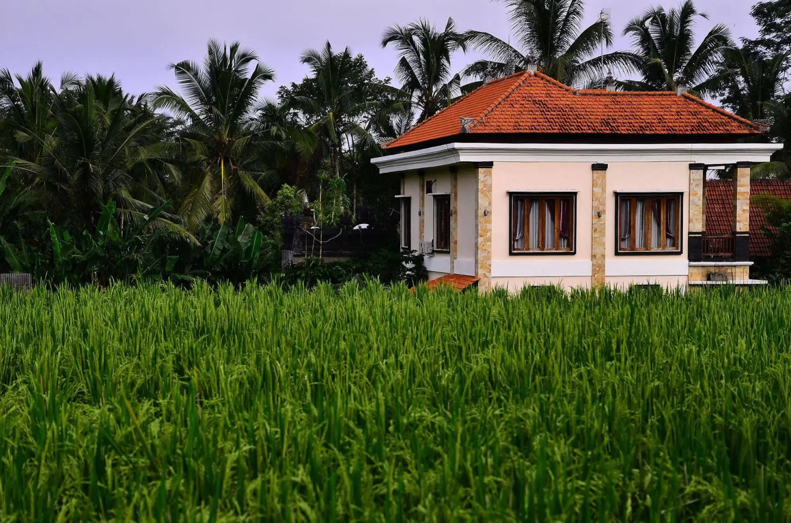 Ubud Sawah Homestay
