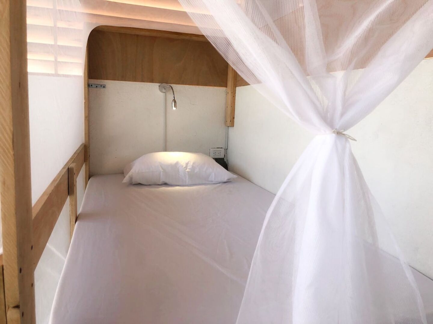 I Wanna Palomino - Hostel