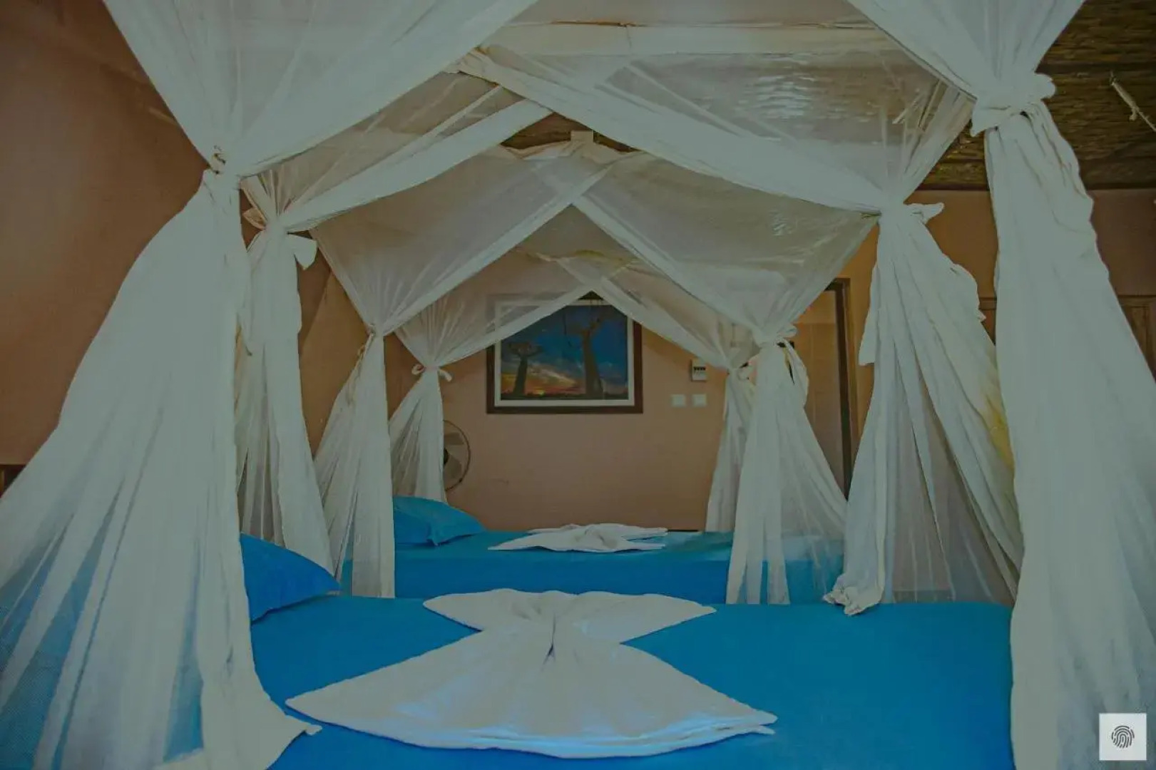 Eden De La Tsiribihina