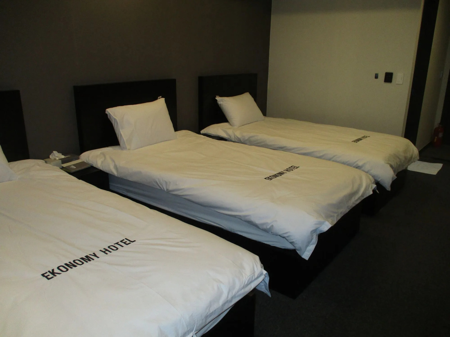 Persimmon Tourist Hotel