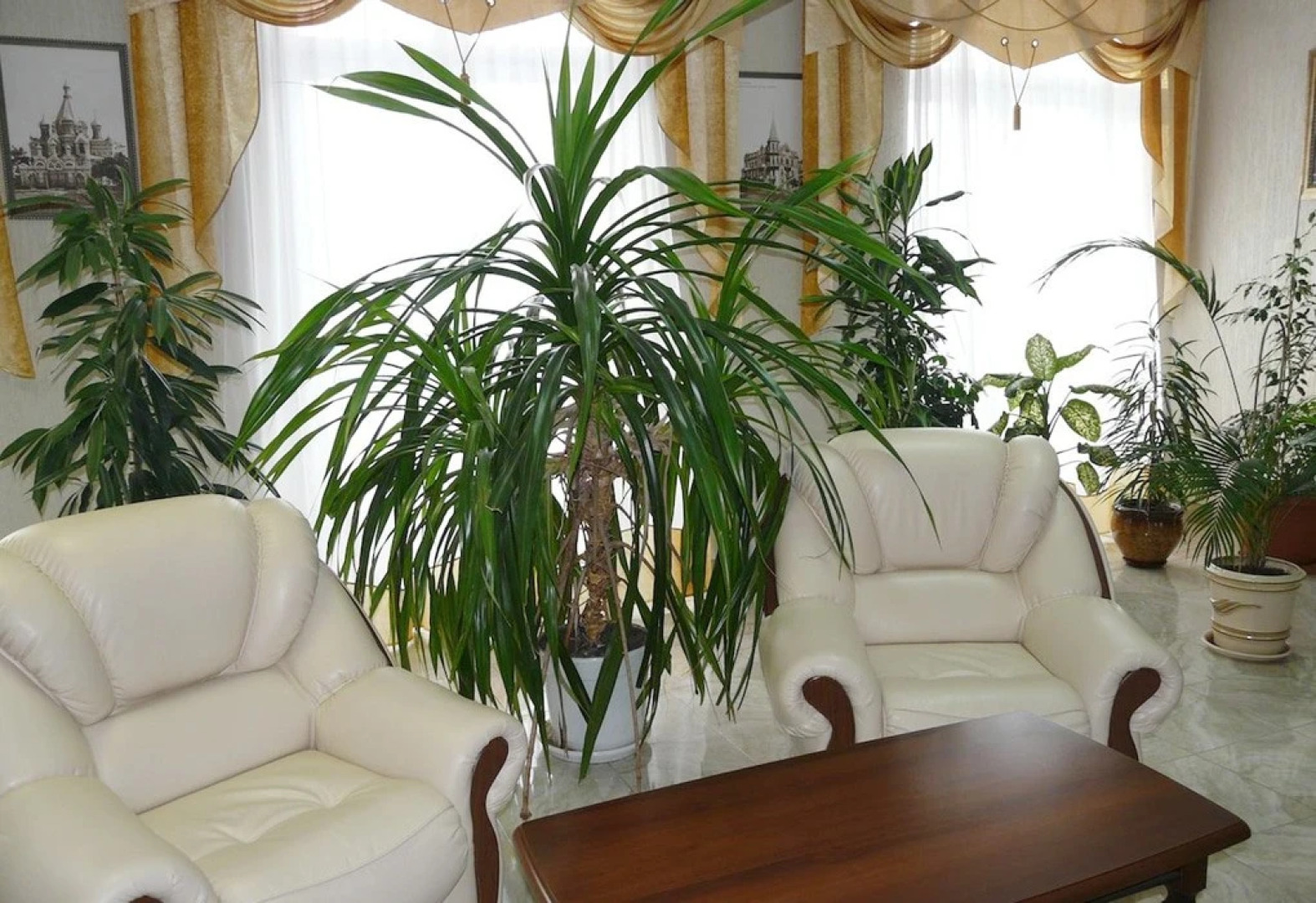 Zhemchuzhina Kavkaza (Essentuki)