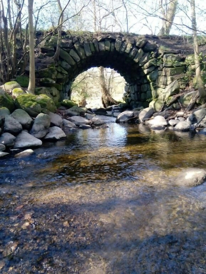 The Garden Hill Hotel