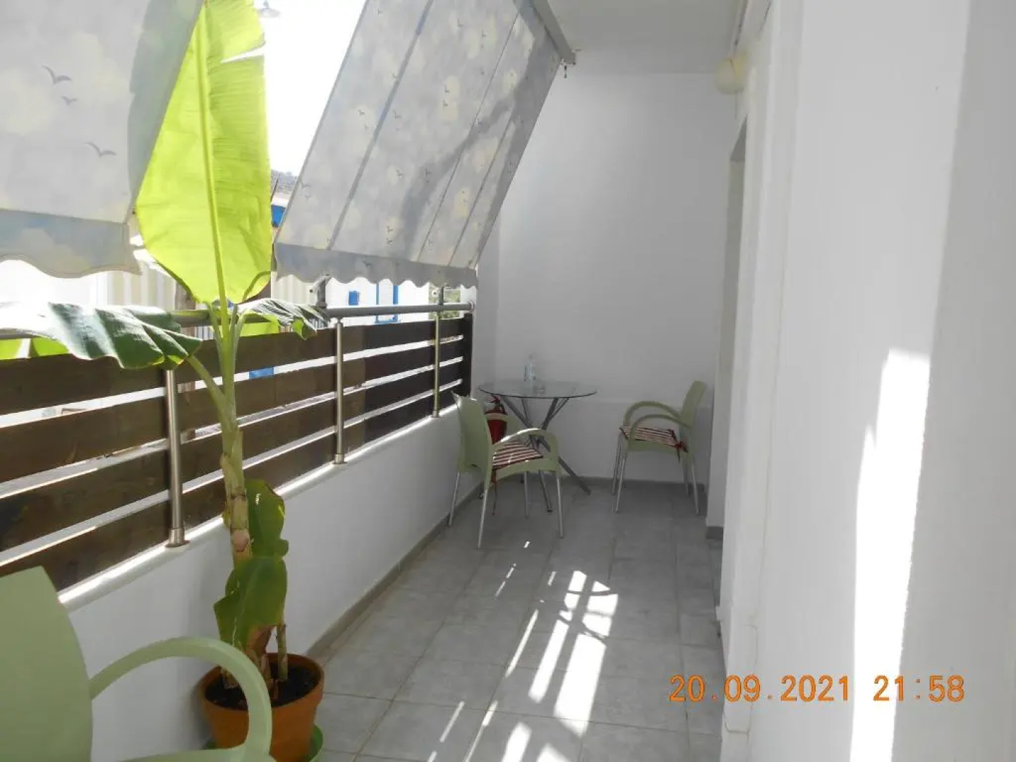 Garifalia Studio's