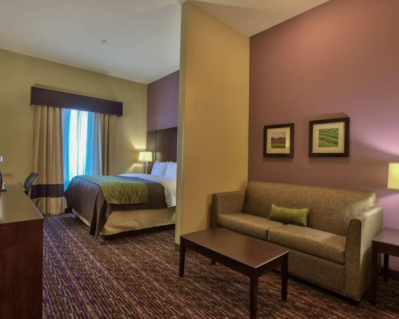 Comfort Inn & Suites Dothan