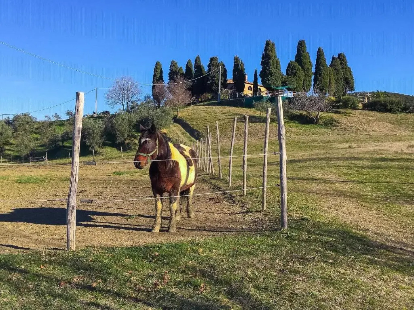 Agriturismo Le Vignacce