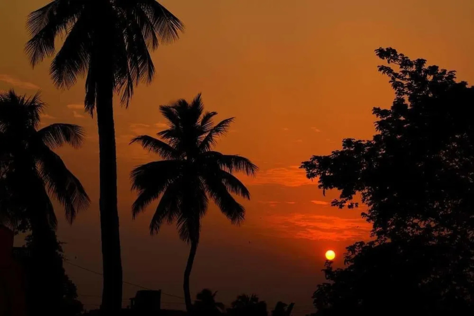 Samriddhi Banquet Garden & Resorts