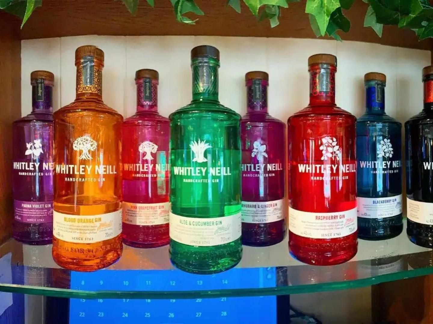 The Coach and Horses Inn