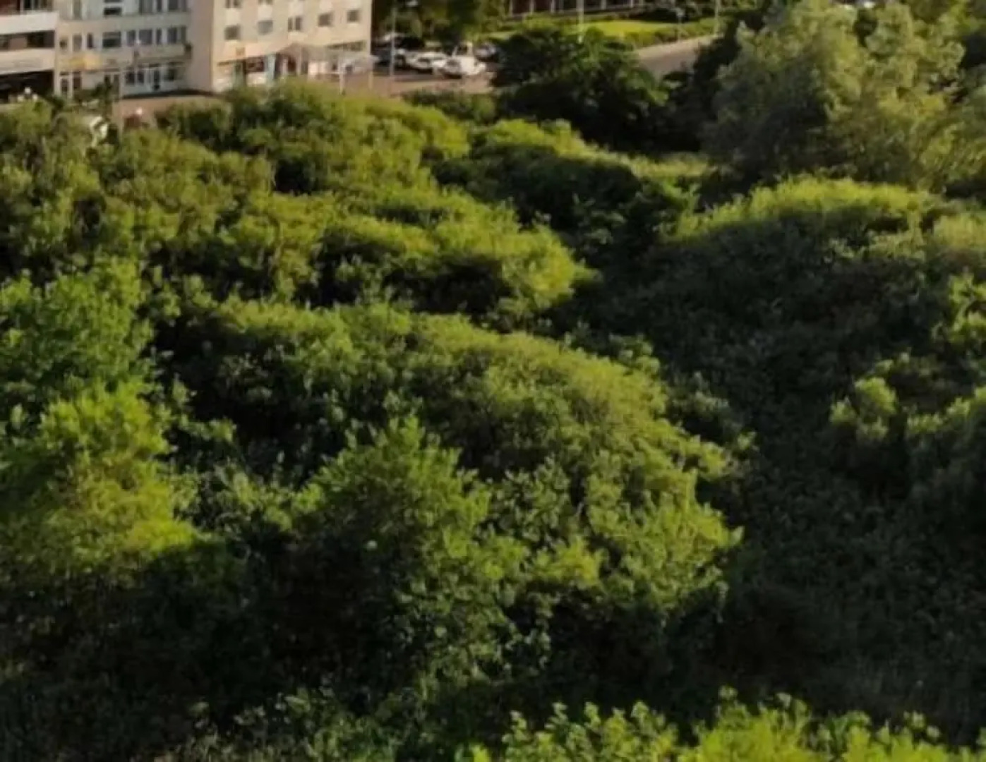 Nordsee-Hotel Deichgraf