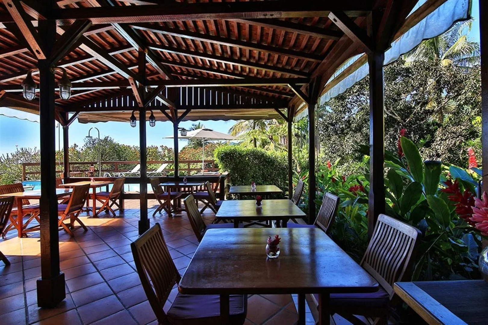 Jardin Malanga