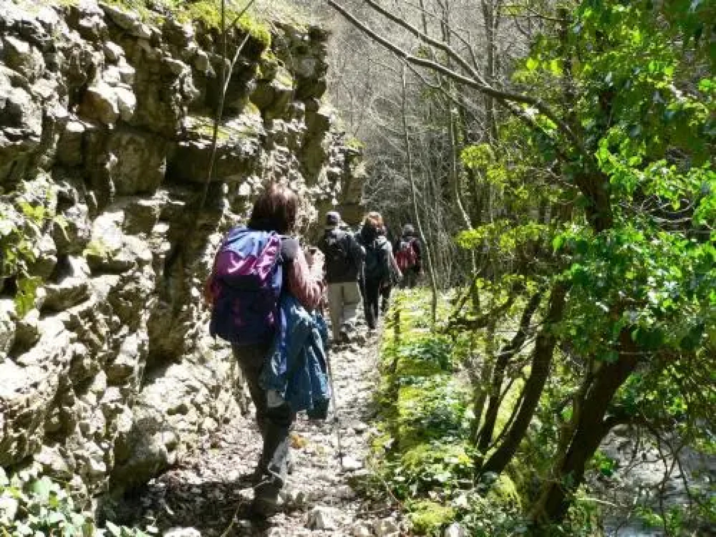 Guest Apartament Clarice