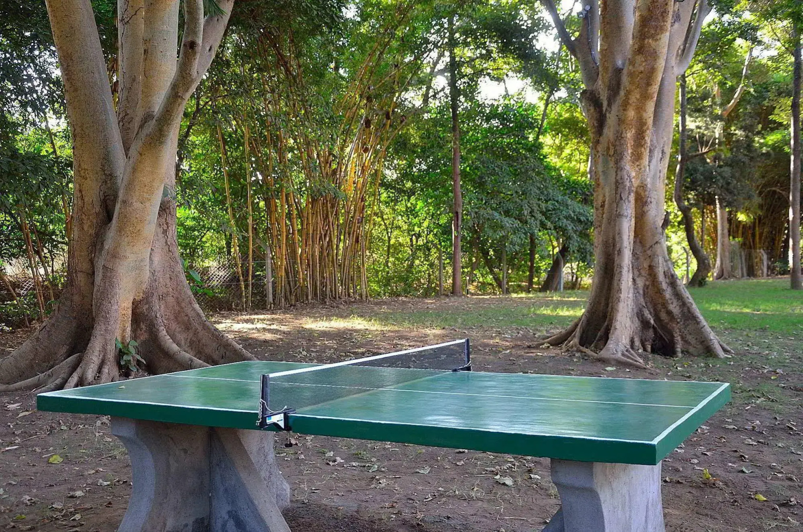 Green Hills of Africa