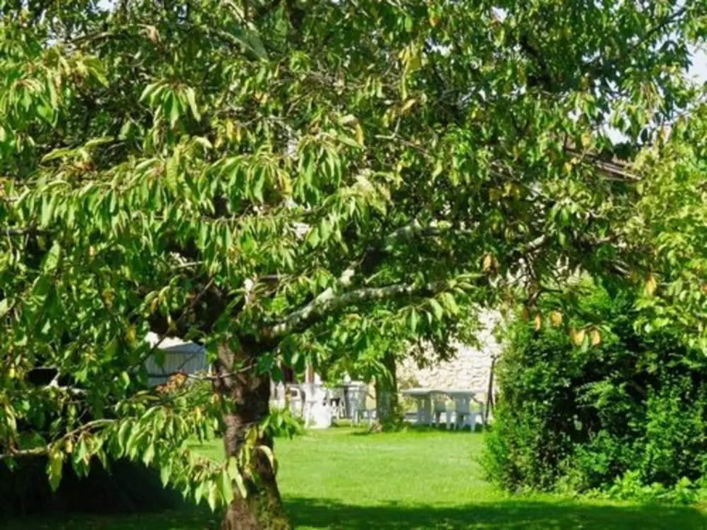 Domaine les Messauts - Gîte le Figuier