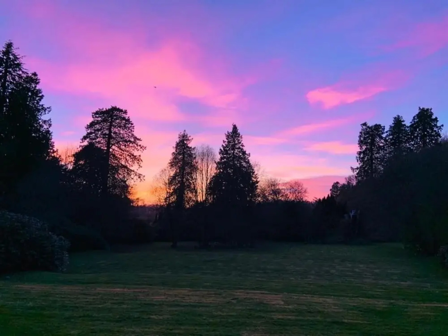 1-bed Cabin, 2 Adults, Wood Burning Hot Tub & Fire