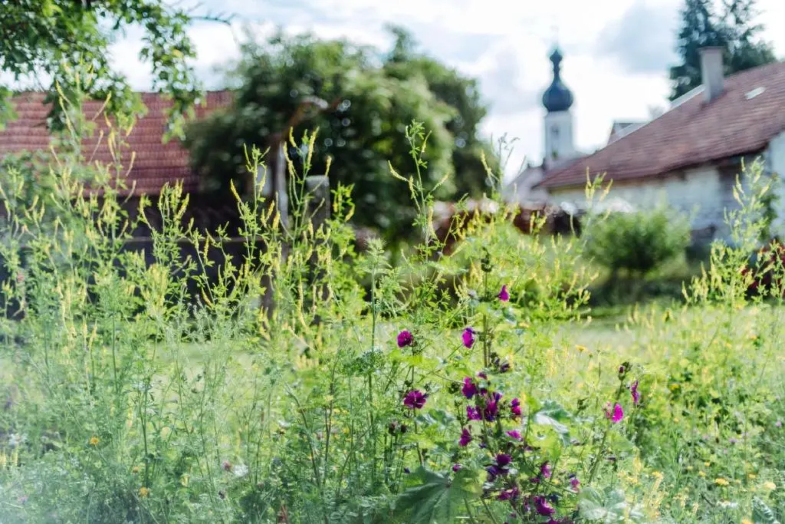 Historischer Pfarrhof Niederleierndorf