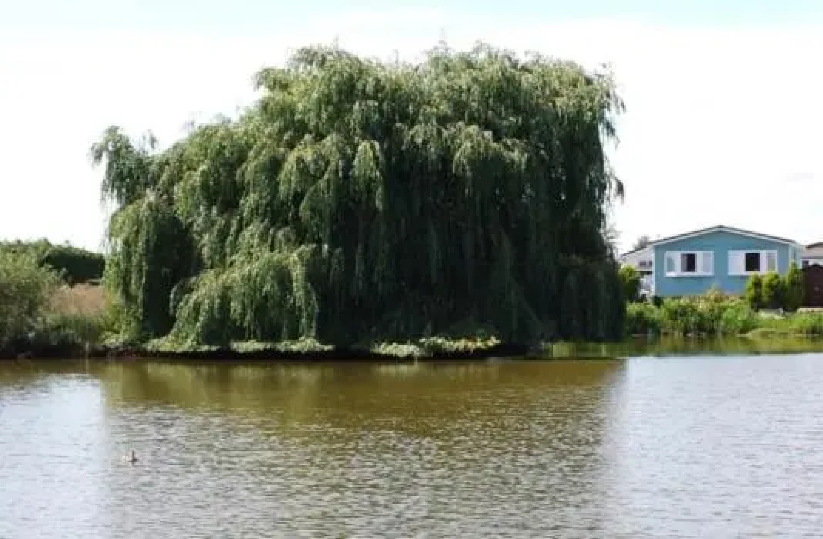 Castaway Retreats 2 E45