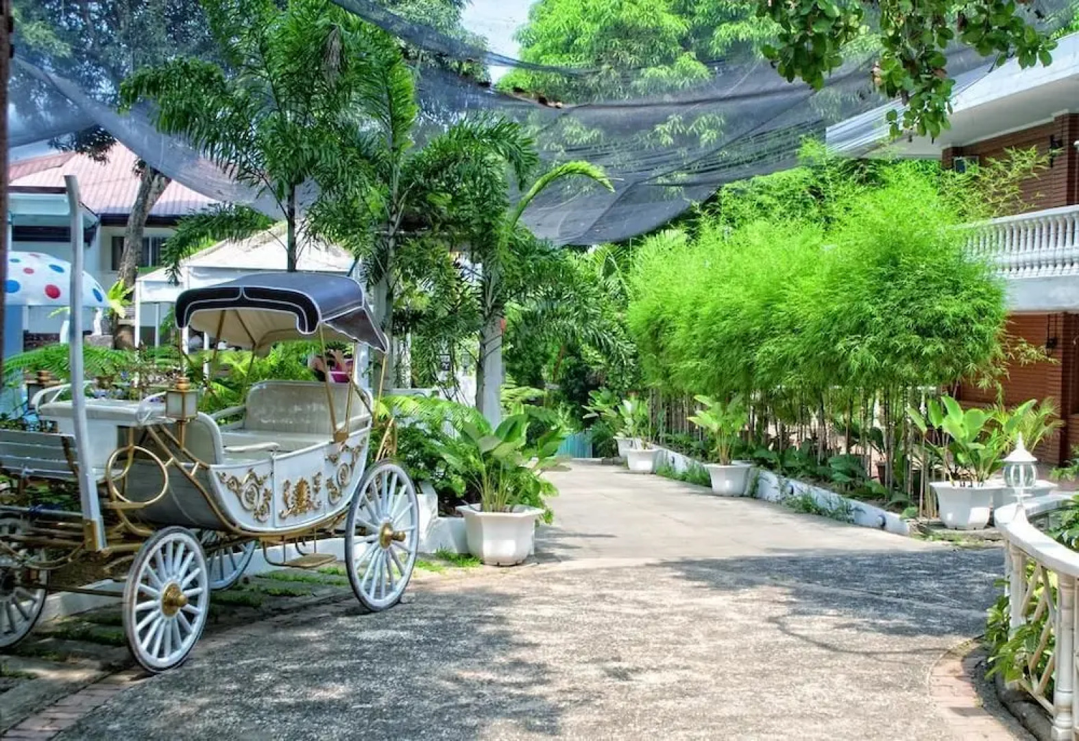 Luljettas Place Garden Suites