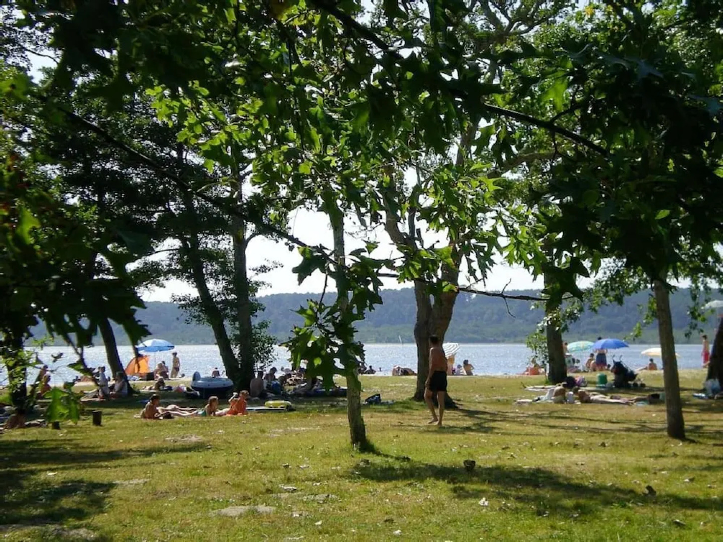 House With 5 Bedrooms in Vielle-saint-girons, With Enclosed Garden and Wifi - 8 km From the Beach