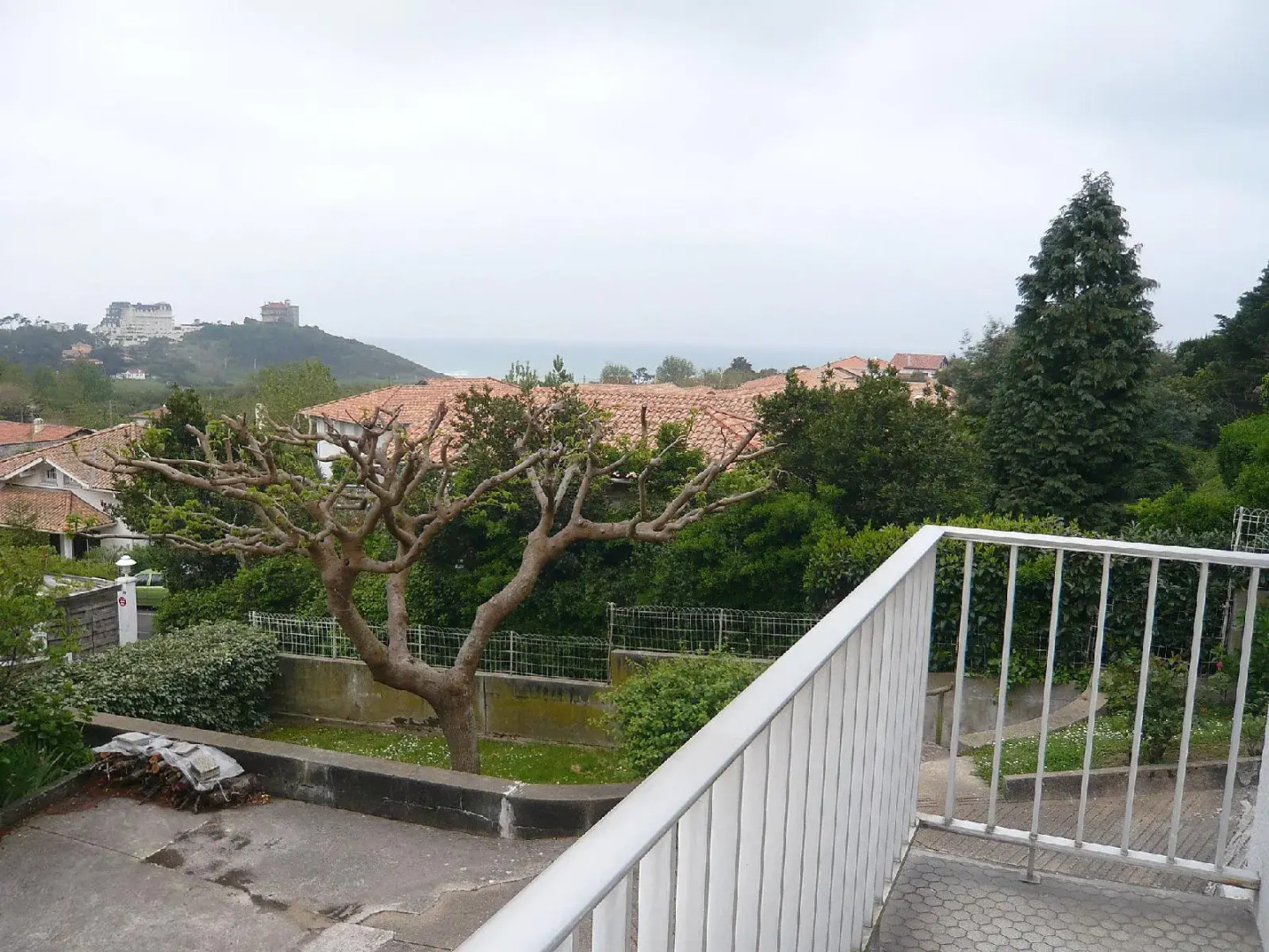 Cristobal - Inh 27483