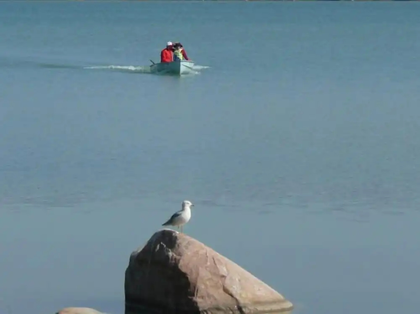 Bruce Bay Cottages & Lighthouse