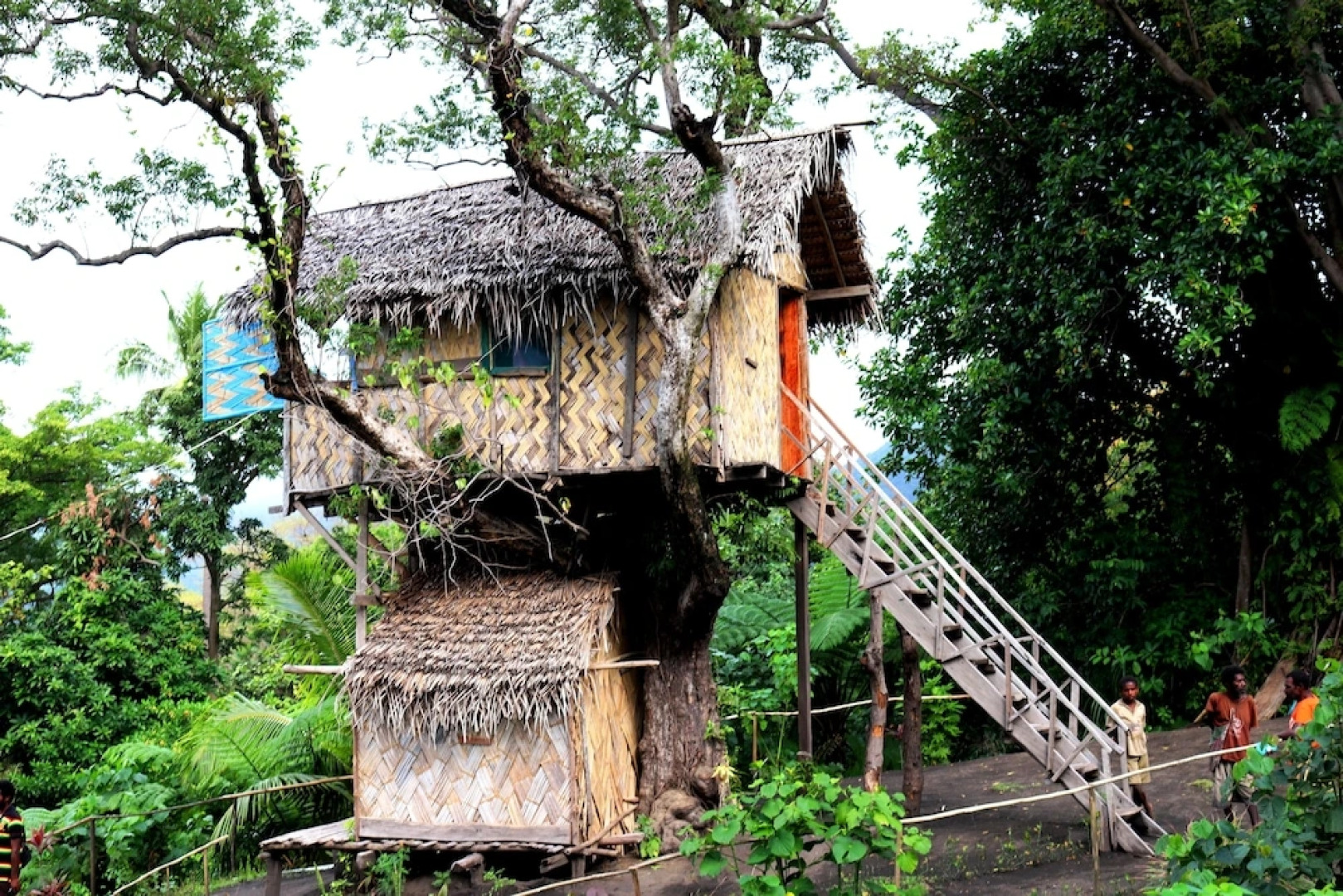 Volcano Tree Venture Bungalows