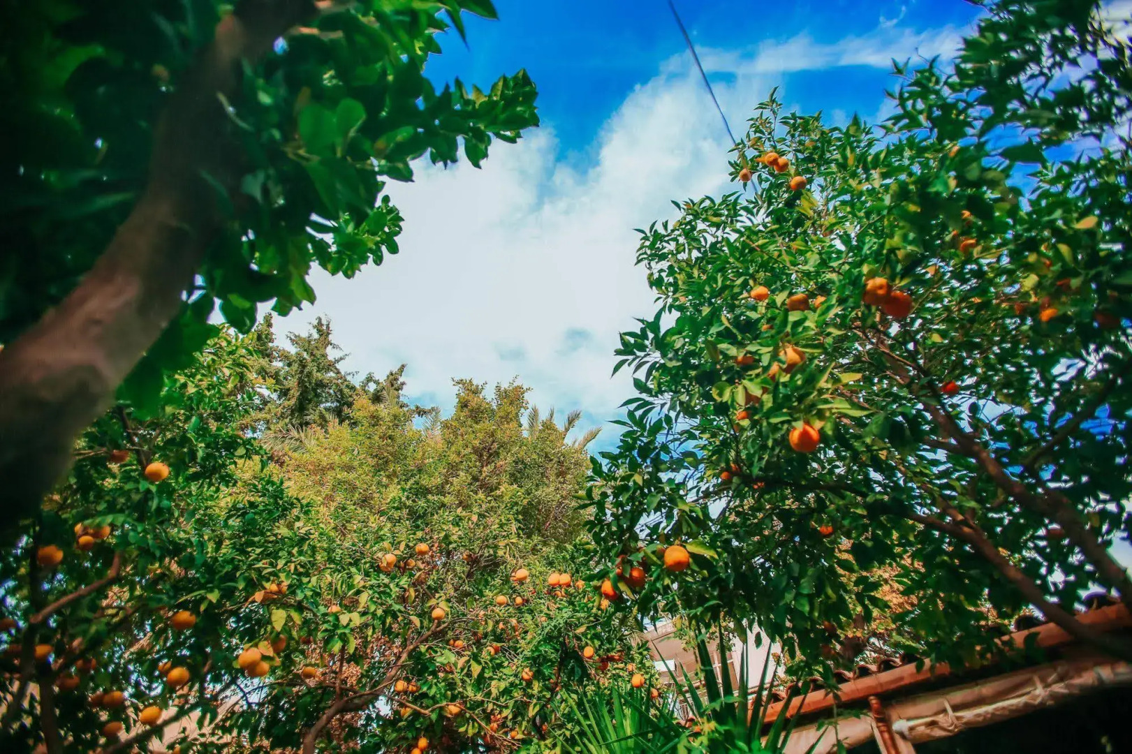 Hadrianus Boutique Hotel