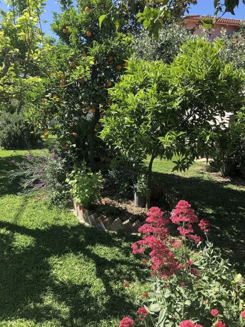 Charming 2-bed House in Kallithea