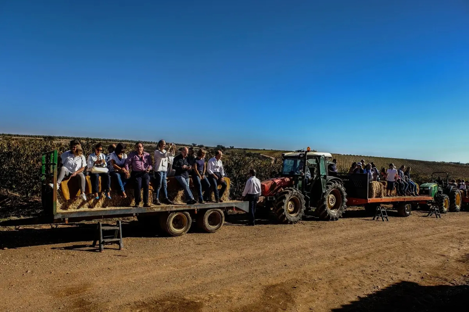 Vila Gale Alentejo Vineyards Hotel - Clube de Campo