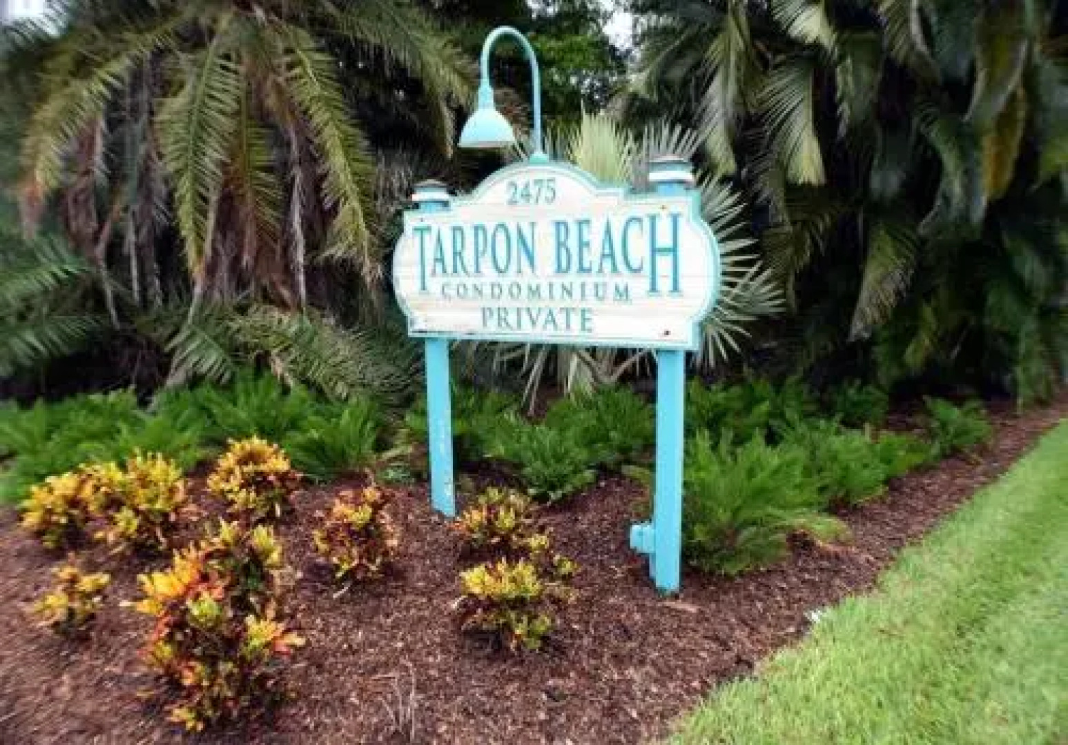 Tarpon Beach 305